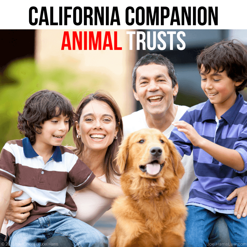 California Companion Animal Trusts